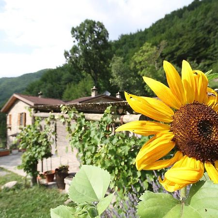 Agriturismo Ca Sonino Bettola  外观 照片