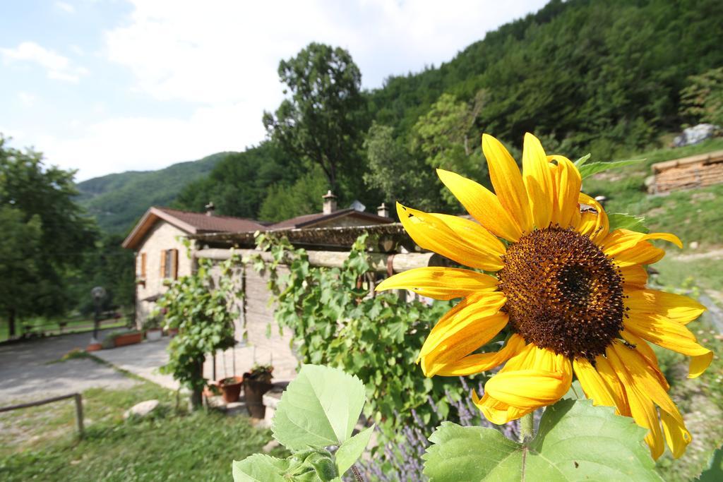 Agriturismo Ca Sonino Bettola  外观 照片